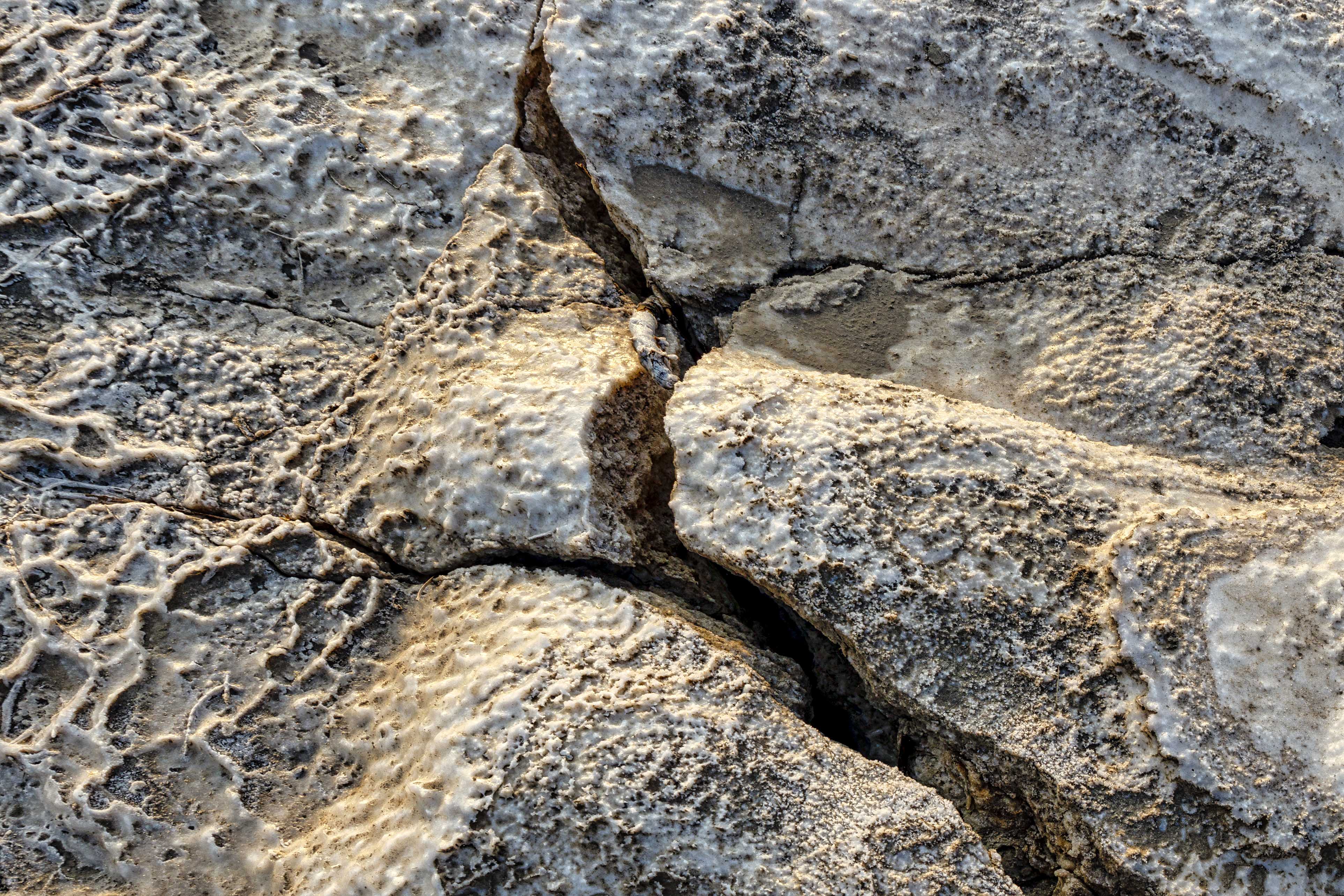 20201120-November 20, 2020-065145-065145-Edit.jpg